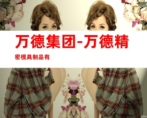 万德集团-万德精密模具制品有限公司
